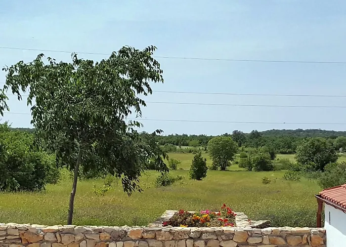 Family Friendly House With A Swimming Pool Puljane, Krka - 11688 * Oklaj
